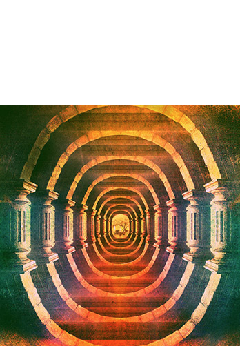 bonobo