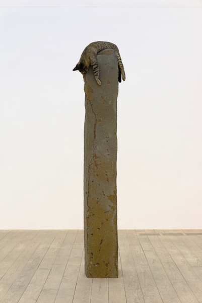 STEPHEN LICHTY