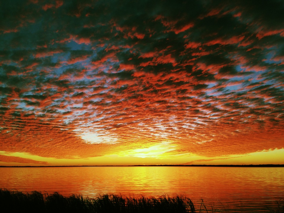 mt dora jan 2013