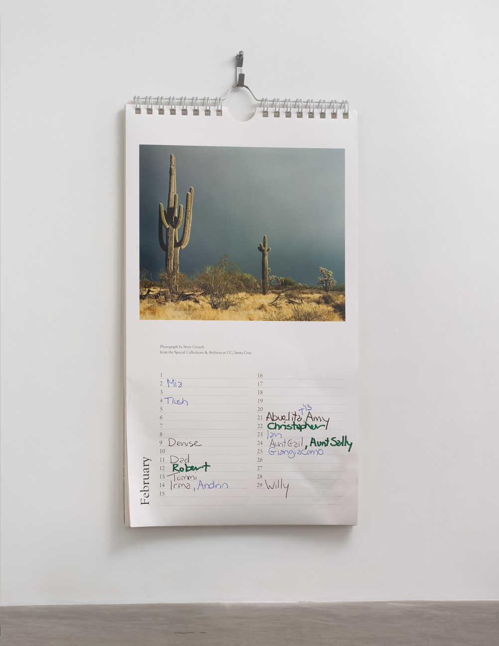 CFernandez_My_Land_My_Loves_2014_February_website2