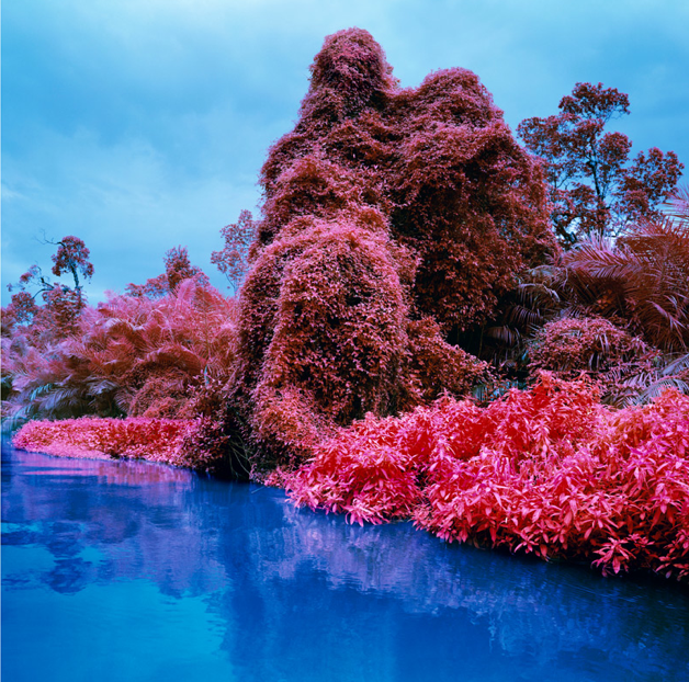 RICHARD MOSSE
